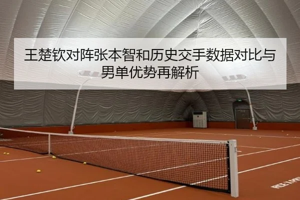 王楚钦对阵张本智和历史交手数据对比与男单优势再解析